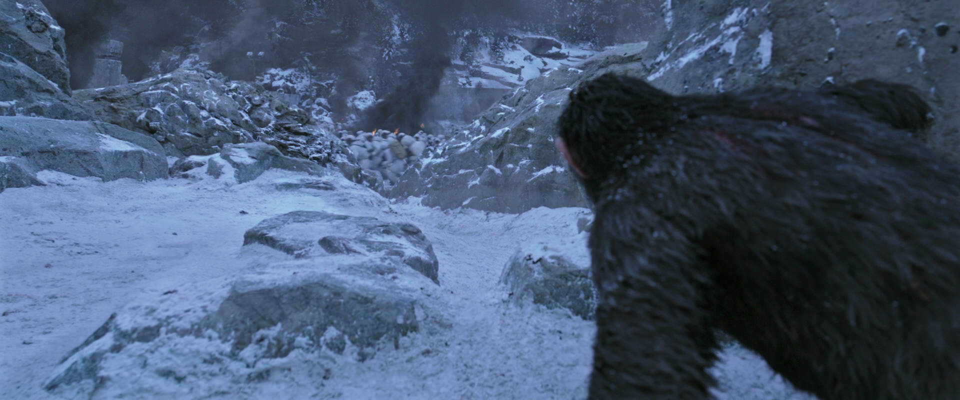 War for the Planet of the Apes (2017) movie still 14539