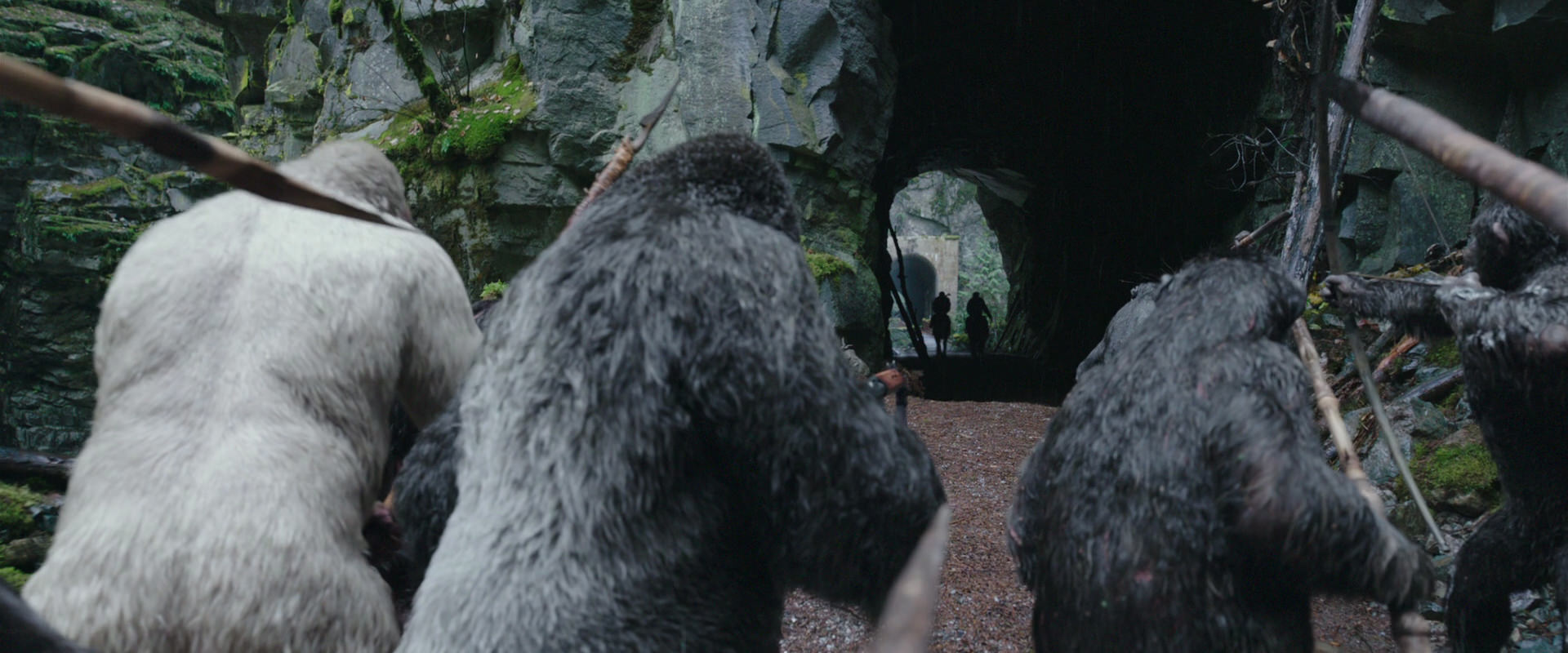 War for the Planet of the Apes (2017) screencap 1455