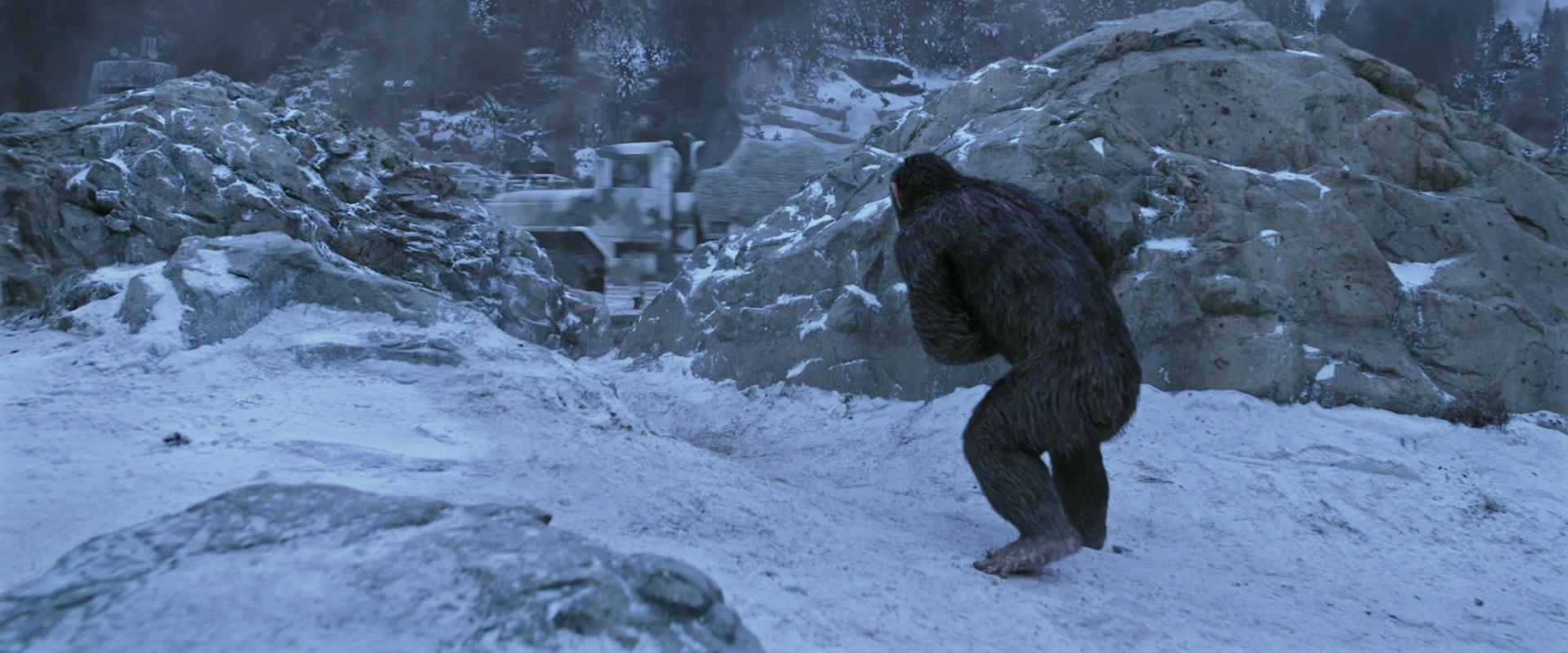 War for the Planet of the Apes (2017) movie still 14554