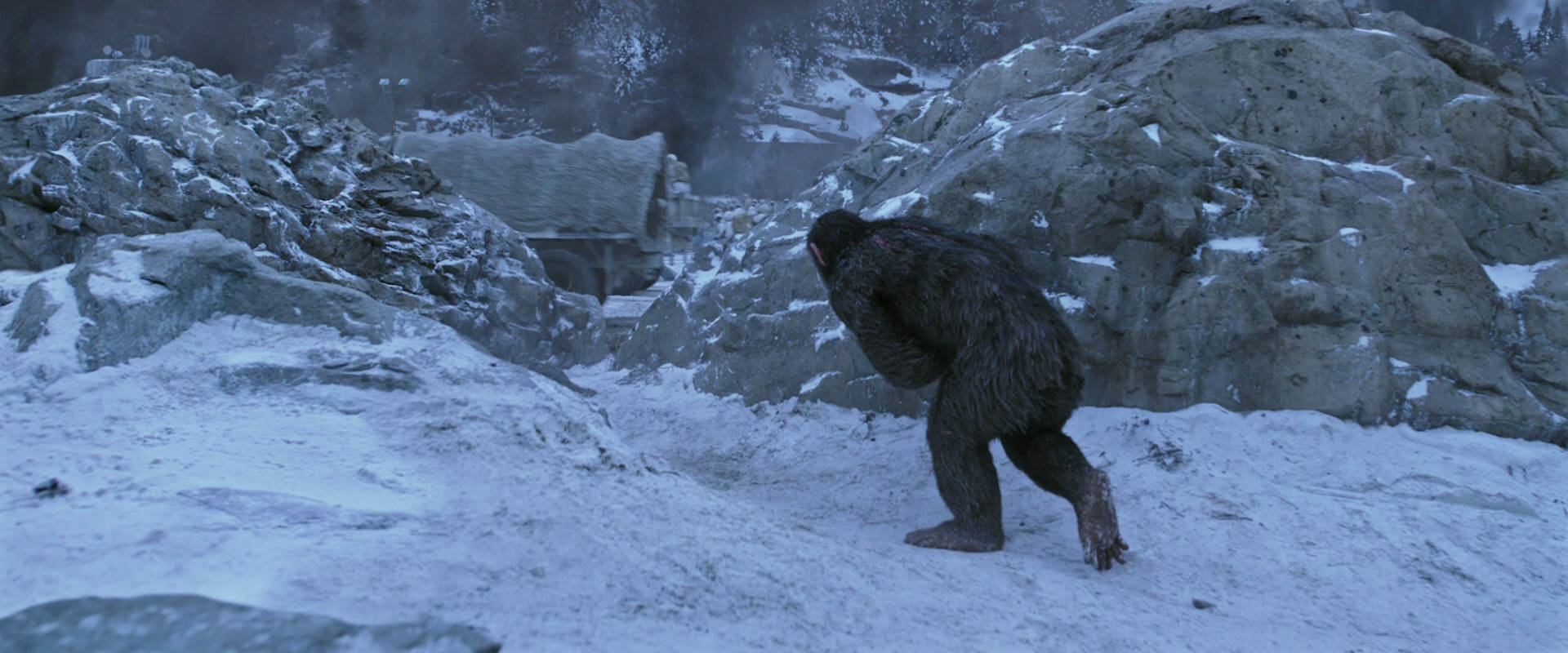 War for the Planet of the Apes (2017) screencap 14556