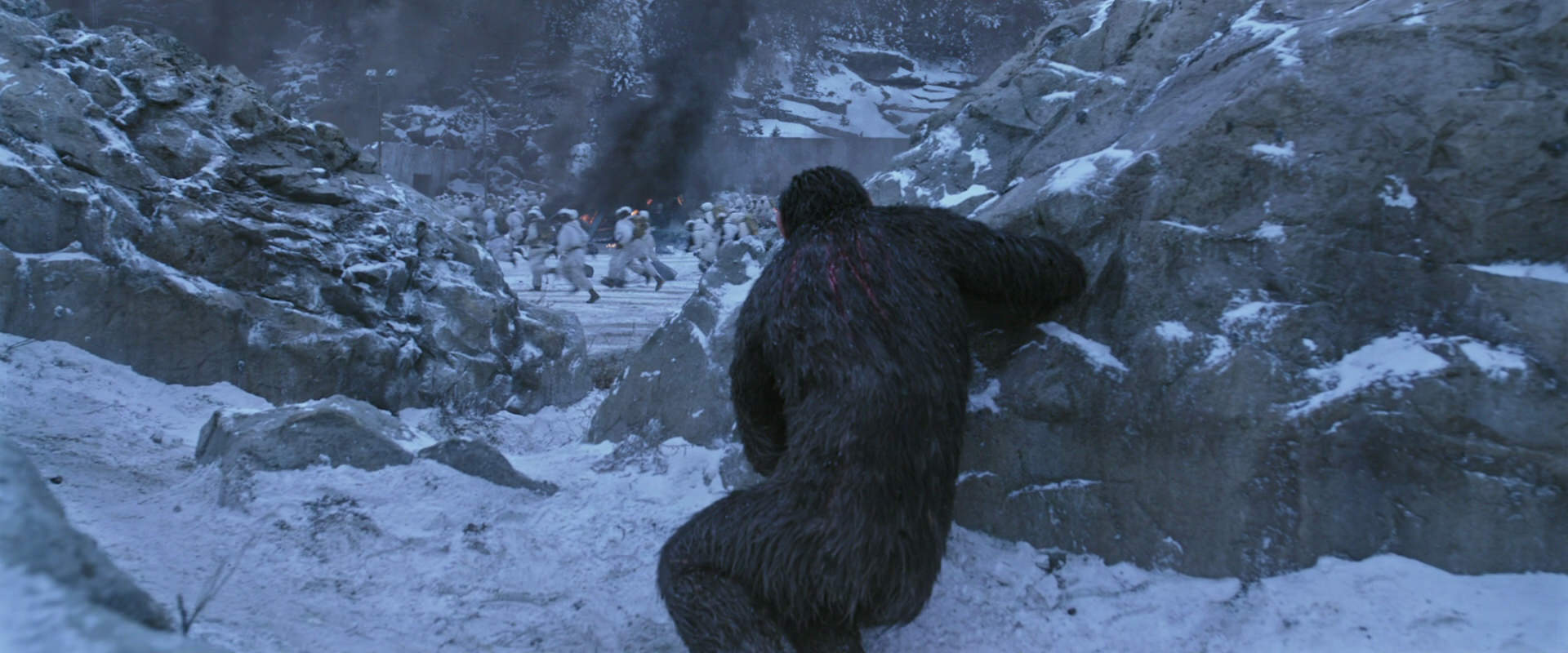 War for the Planet of the Apes (2017) movie still 14566