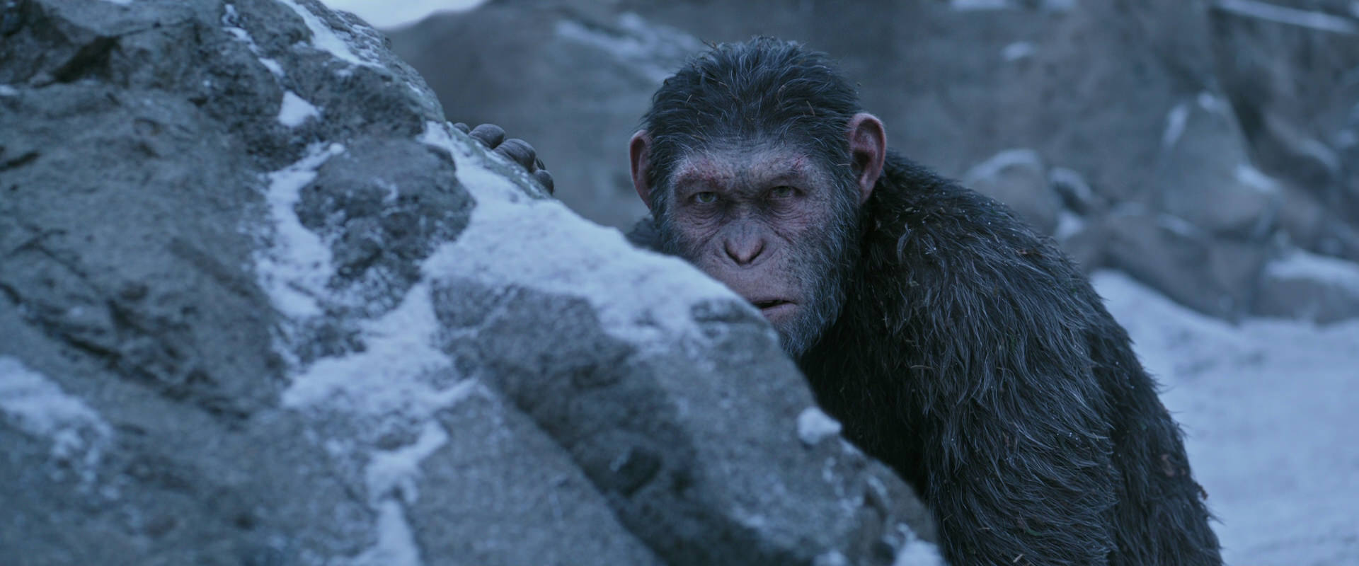 War for the Planet of the Apes (2017) movie still 14578