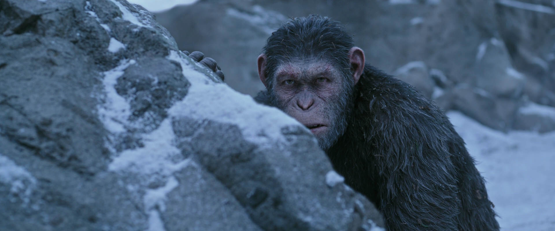 War for the Planet of the Apes (2017) HD screenshot 14579
