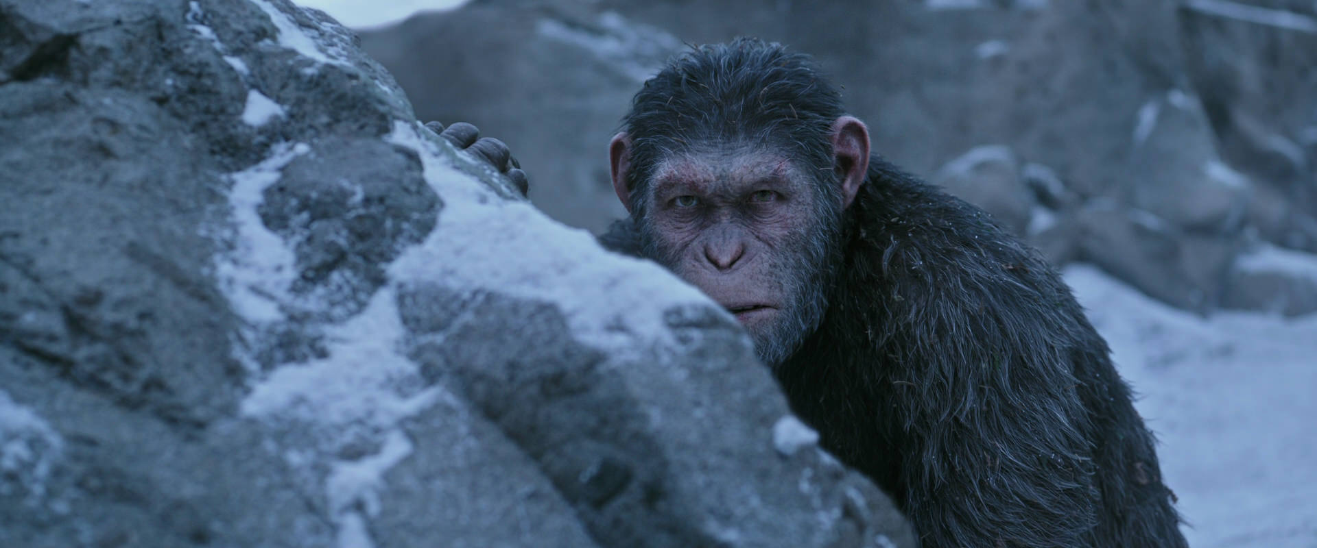 War for the Planet of the Apes (2017) screencap 14580