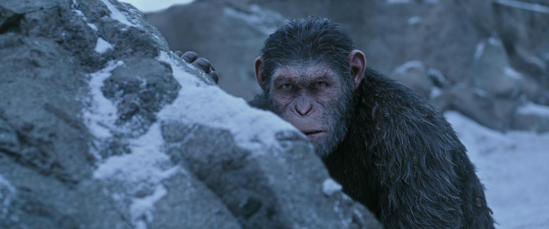 War for the Planet of the Apes (2017) movie still 14581