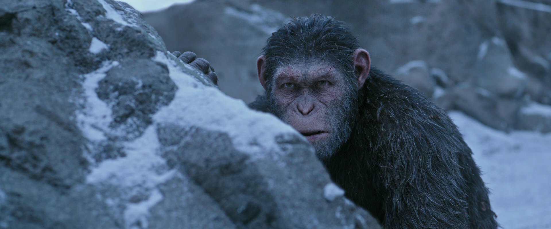 War for the Planet of the Apes (2017) HD screenshot 14582