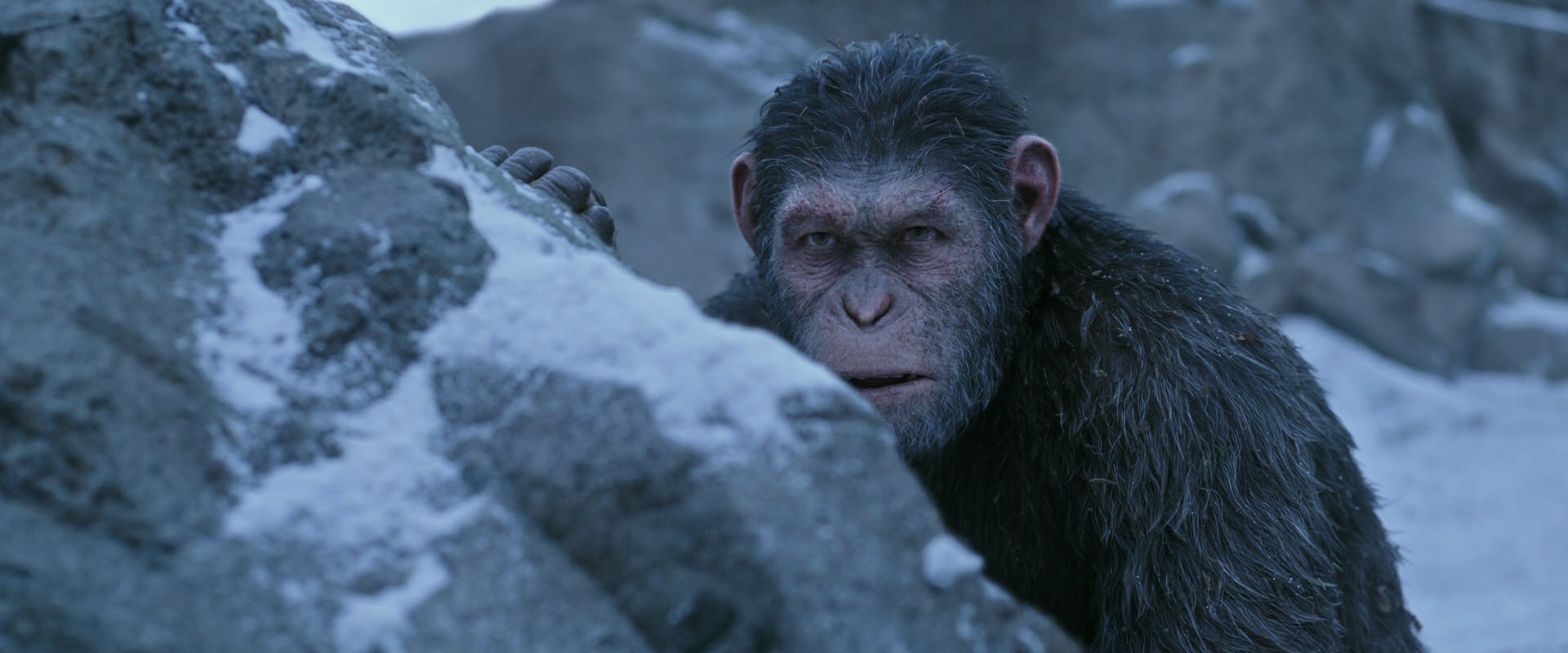 War for the Planet of the Apes (2017) screencap 14583