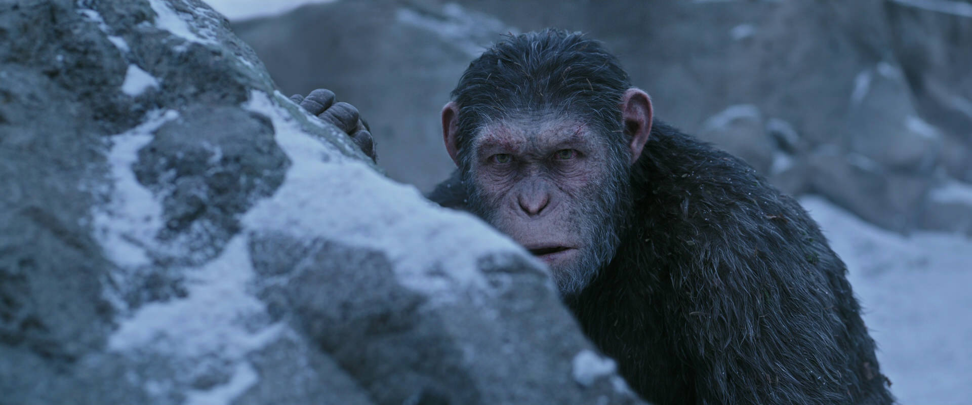 War for the Planet of the Apes (2017) movie still 14590