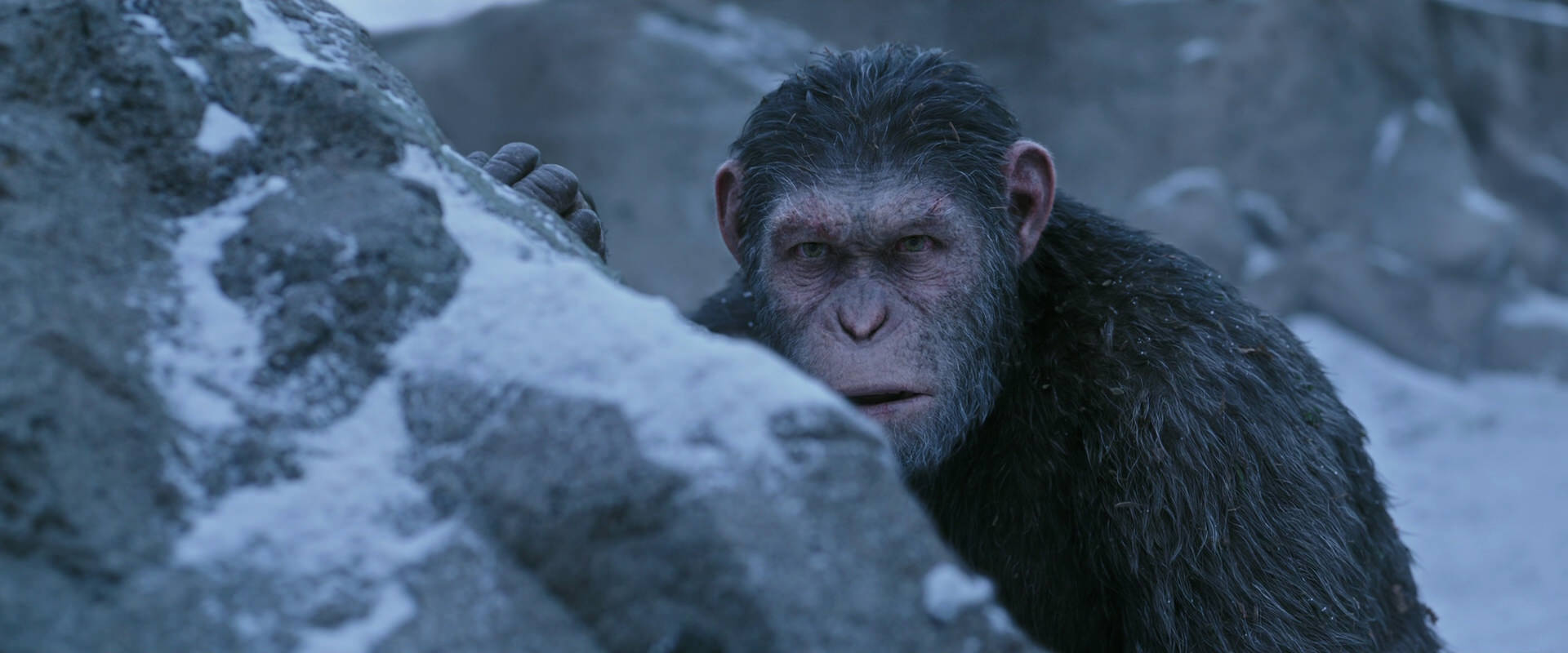 War for the Planet of the Apes (2017) HD screenshot 14591