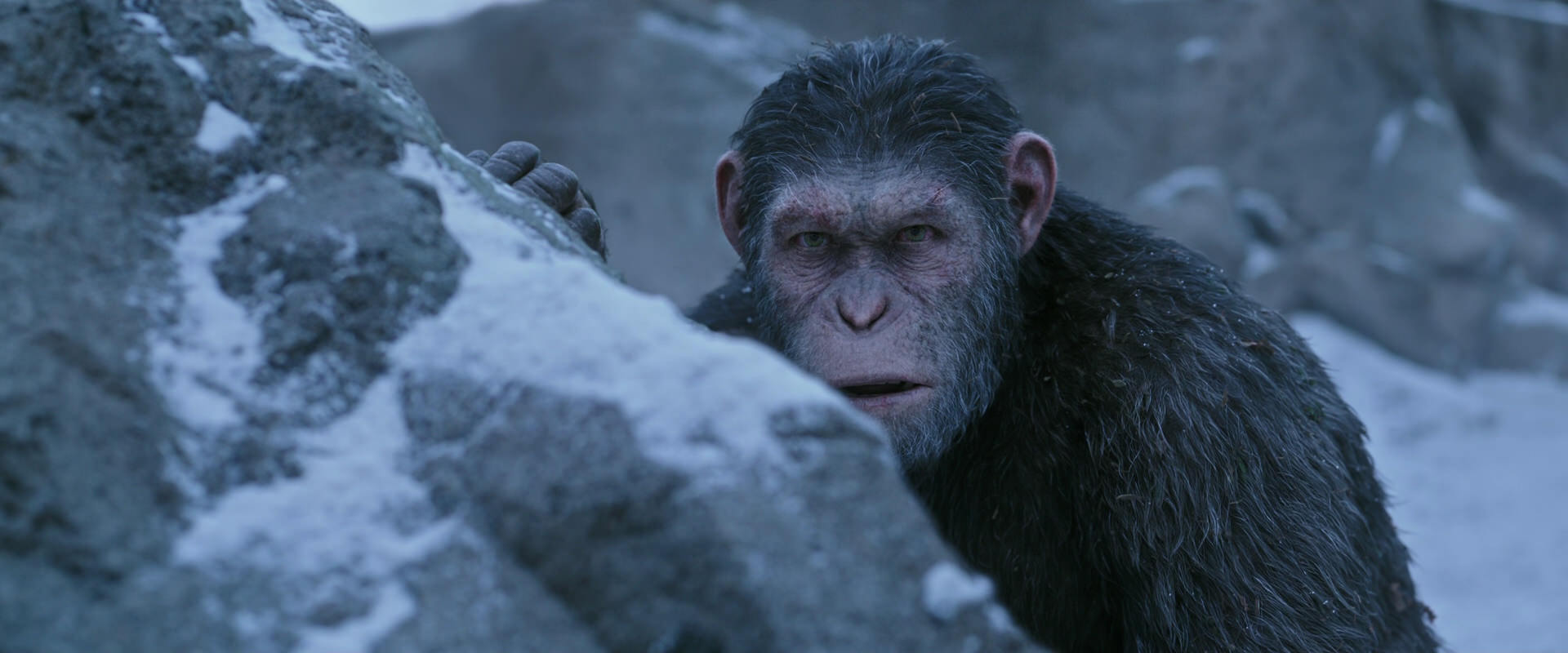 War for the Planet of the Apes (2017) movie still 14593