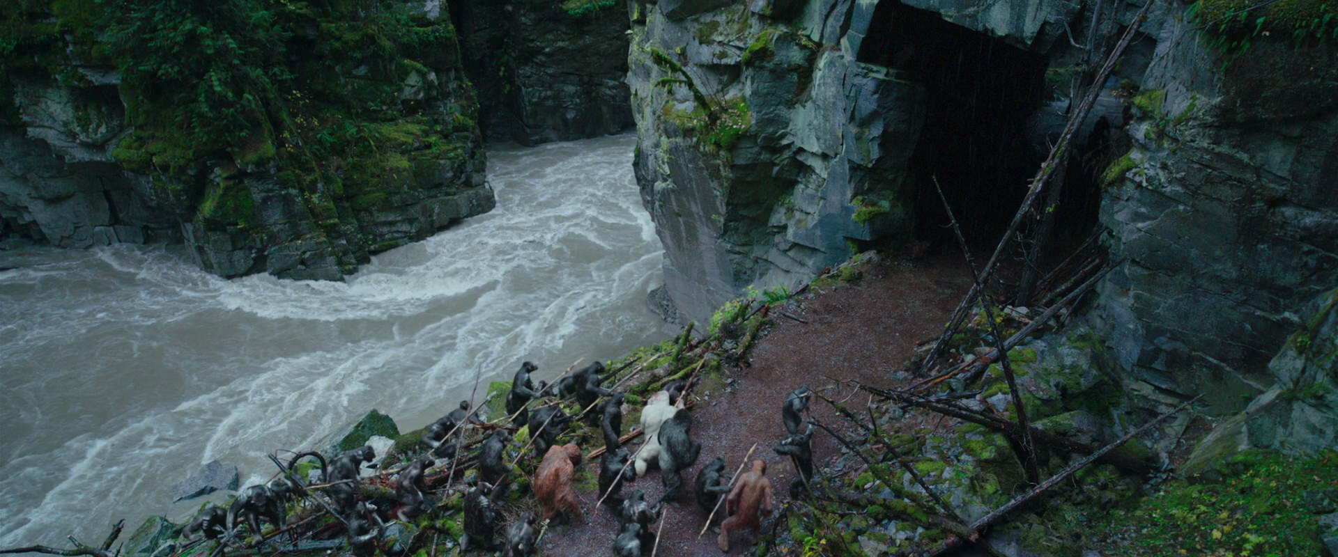 War for the Planet of the Apes (2017) screencap 1461