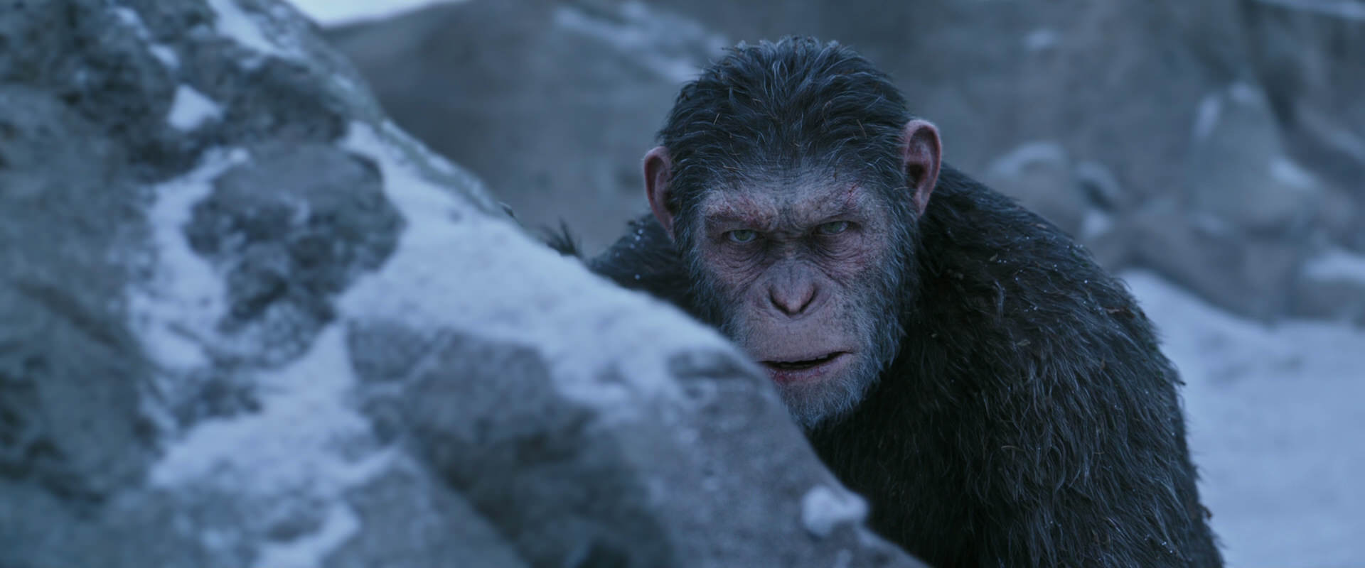 War for the Planet of the Apes (2017) movie still 14617