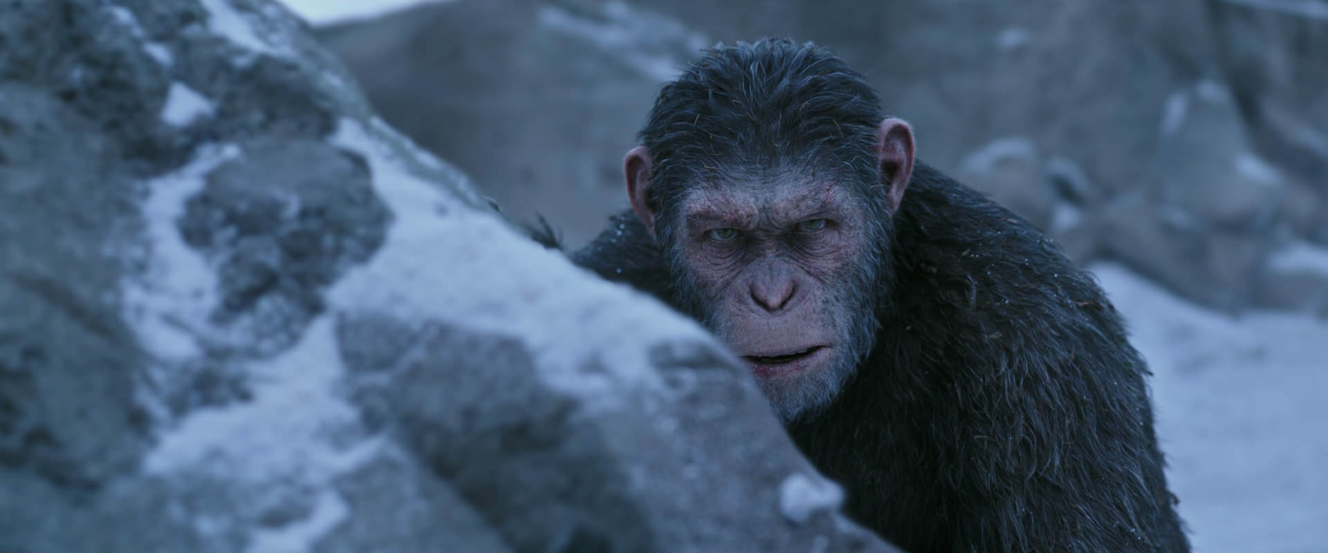 War for the Planet of the Apes (2017) HD screenshot 14618