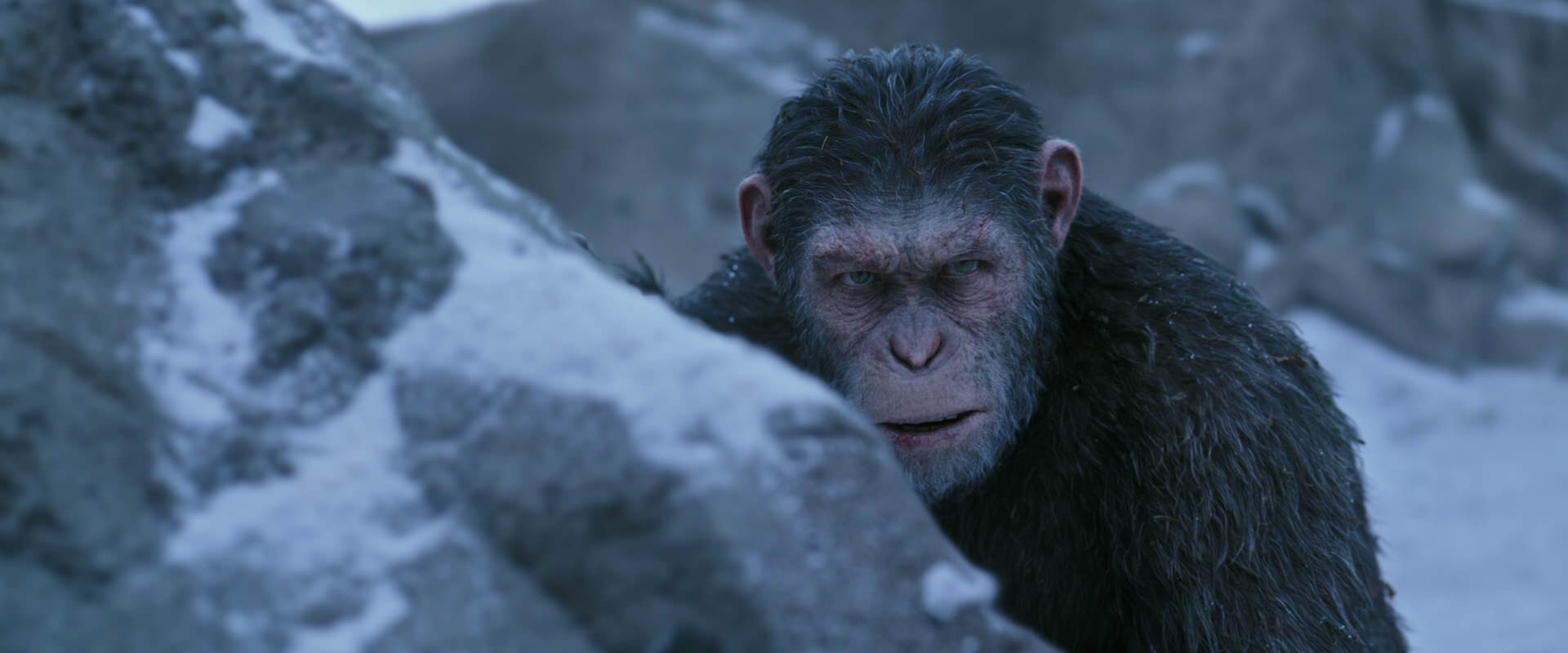War for the Planet of the Apes (2017) screencap 14619