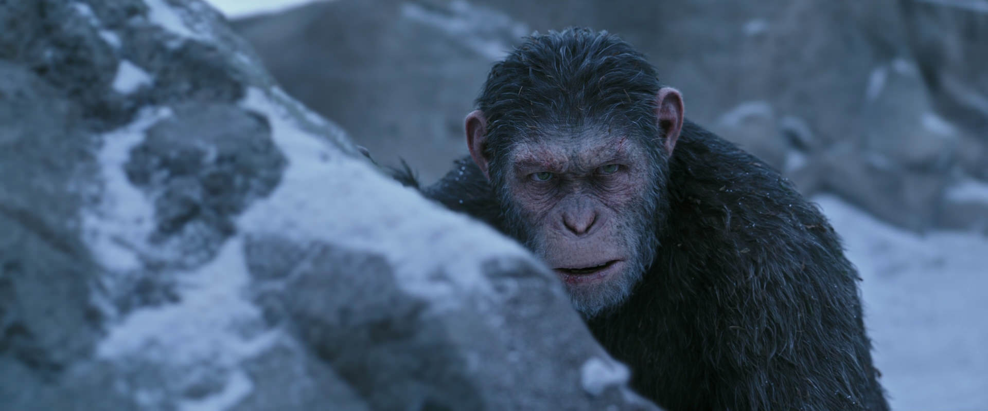 War for the Planet of the Apes (2017) movie still 14620