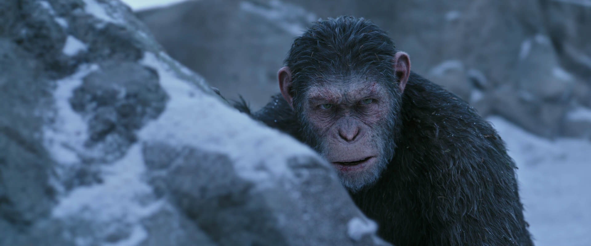 War for the Planet of the Apes (2017) HD screenshot 14621
