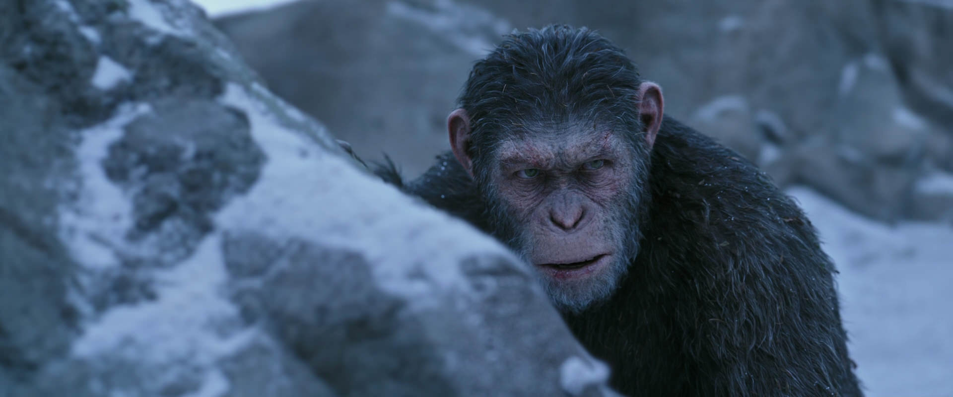 War for the Planet of the Apes (2017) screencap 14622