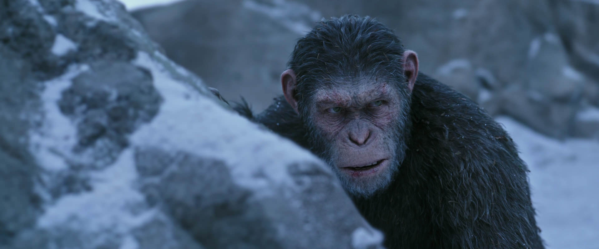 War for the Planet of the Apes (2017) movie still 14623