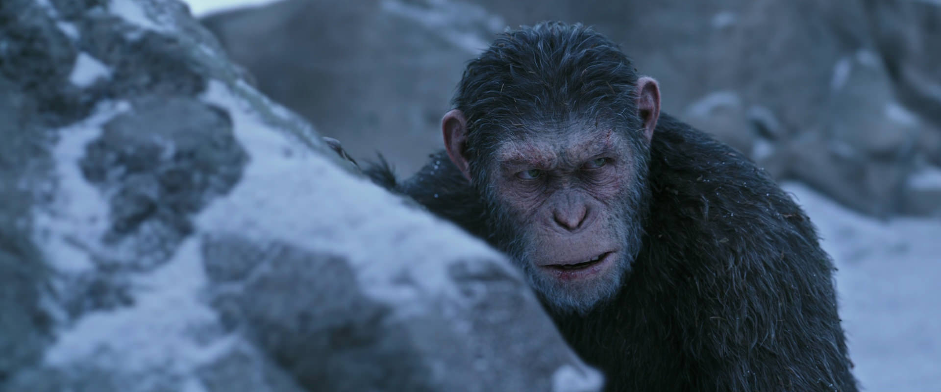War for the Planet of the Apes (2017) HD screenshot 14624