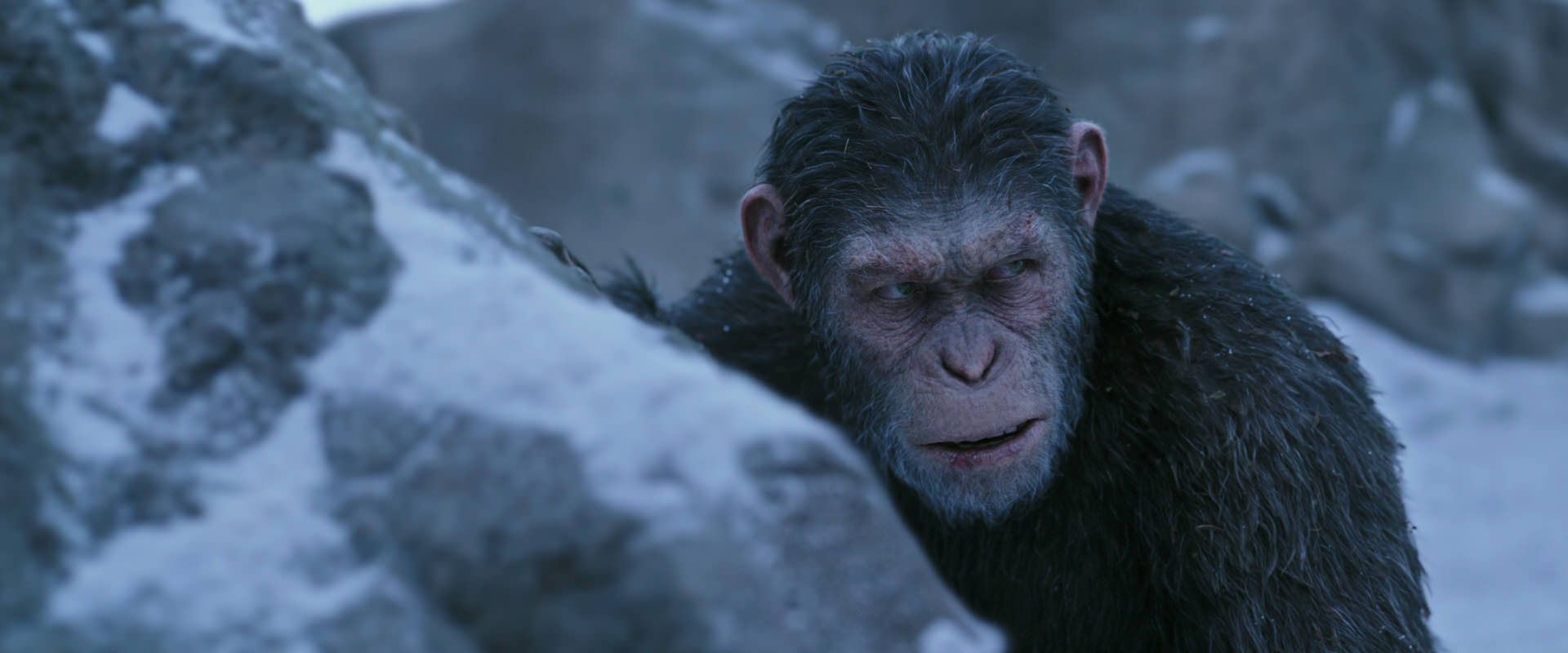 War for the Planet of the Apes (2017) screencap 14625