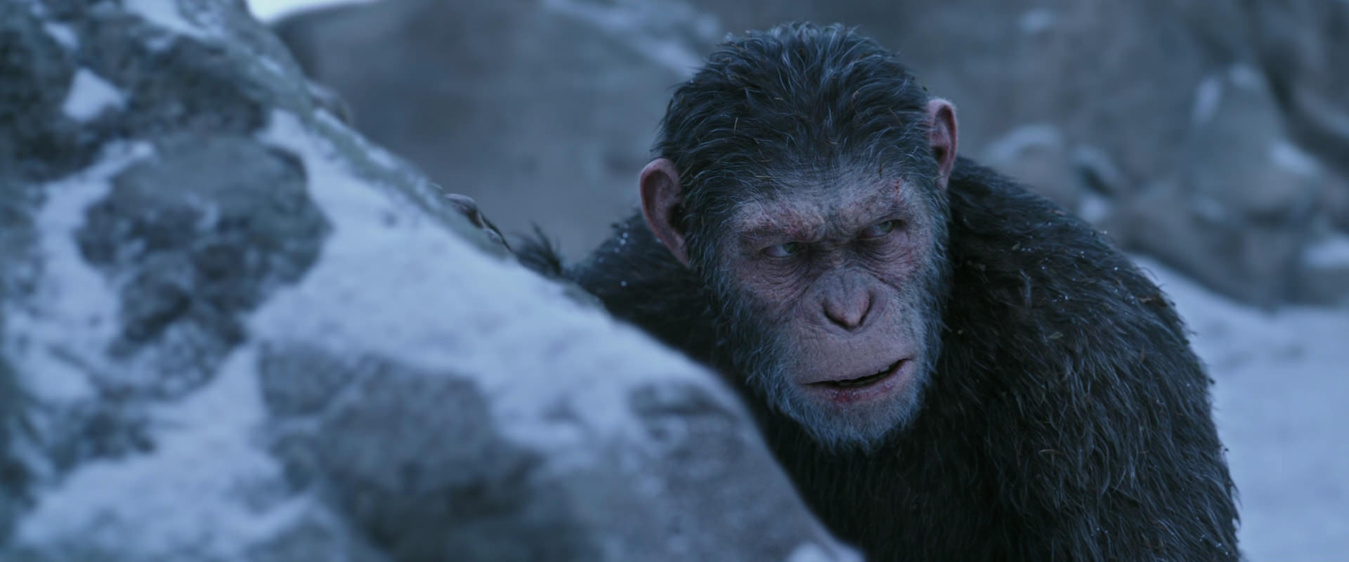 War for the Planet of the Apes (2017) movie still 14626