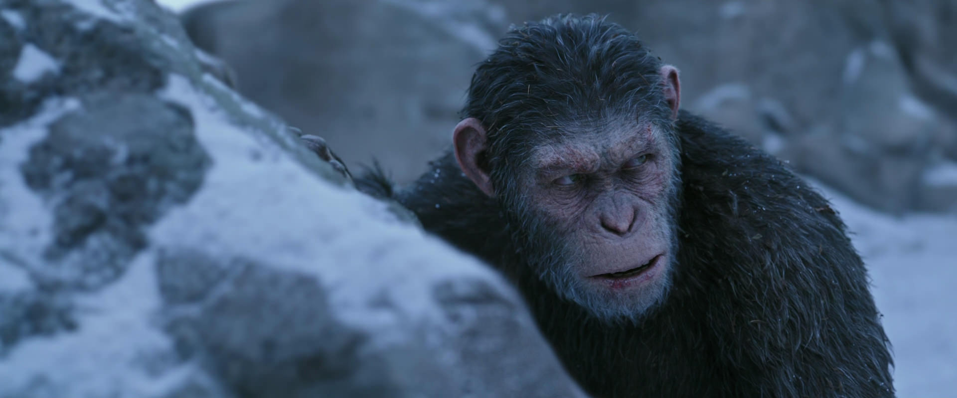 War for the Planet of the Apes (2017) screencap 14628
