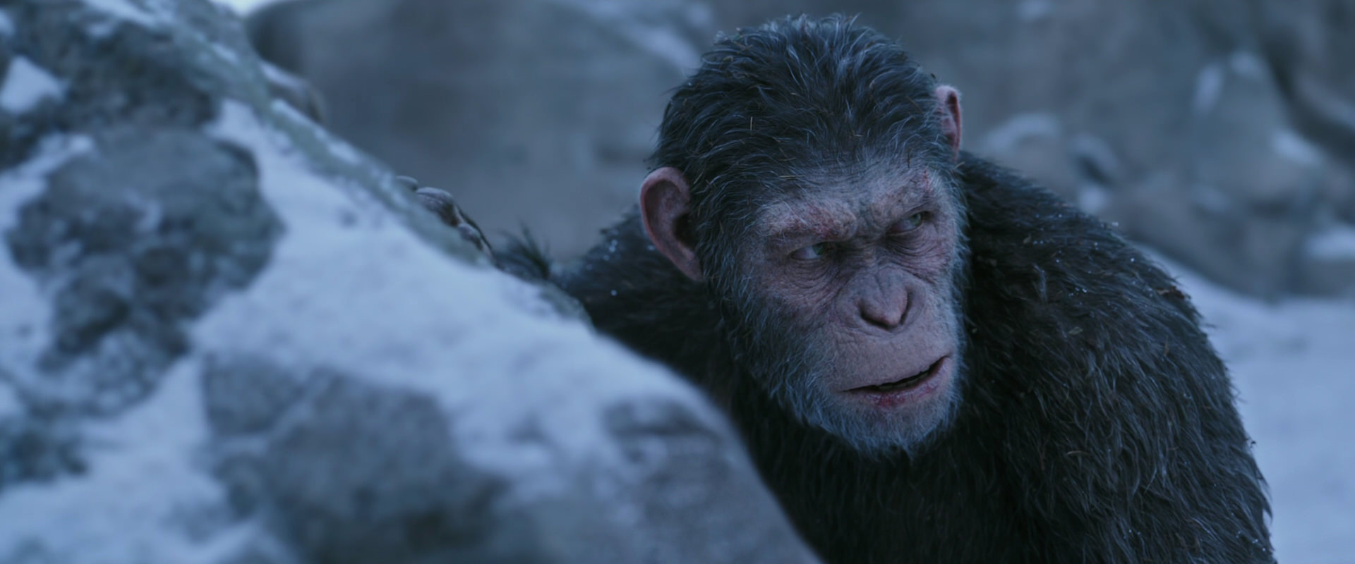 War for the Planet of the Apes (2017) movie still 14629
