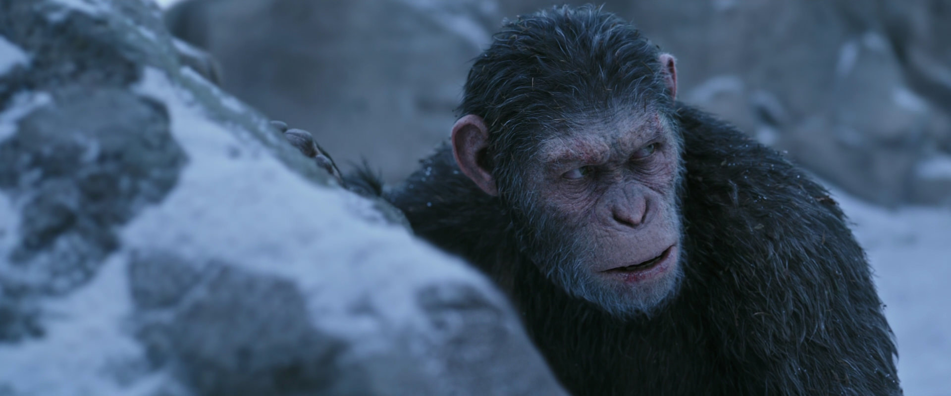 War for the Planet of the Apes (2017) HD screenshot 14630