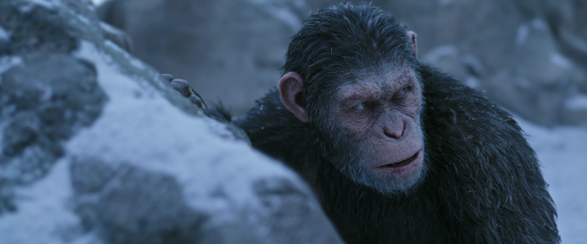 War for the Planet of the Apes (2017) screencap 14631