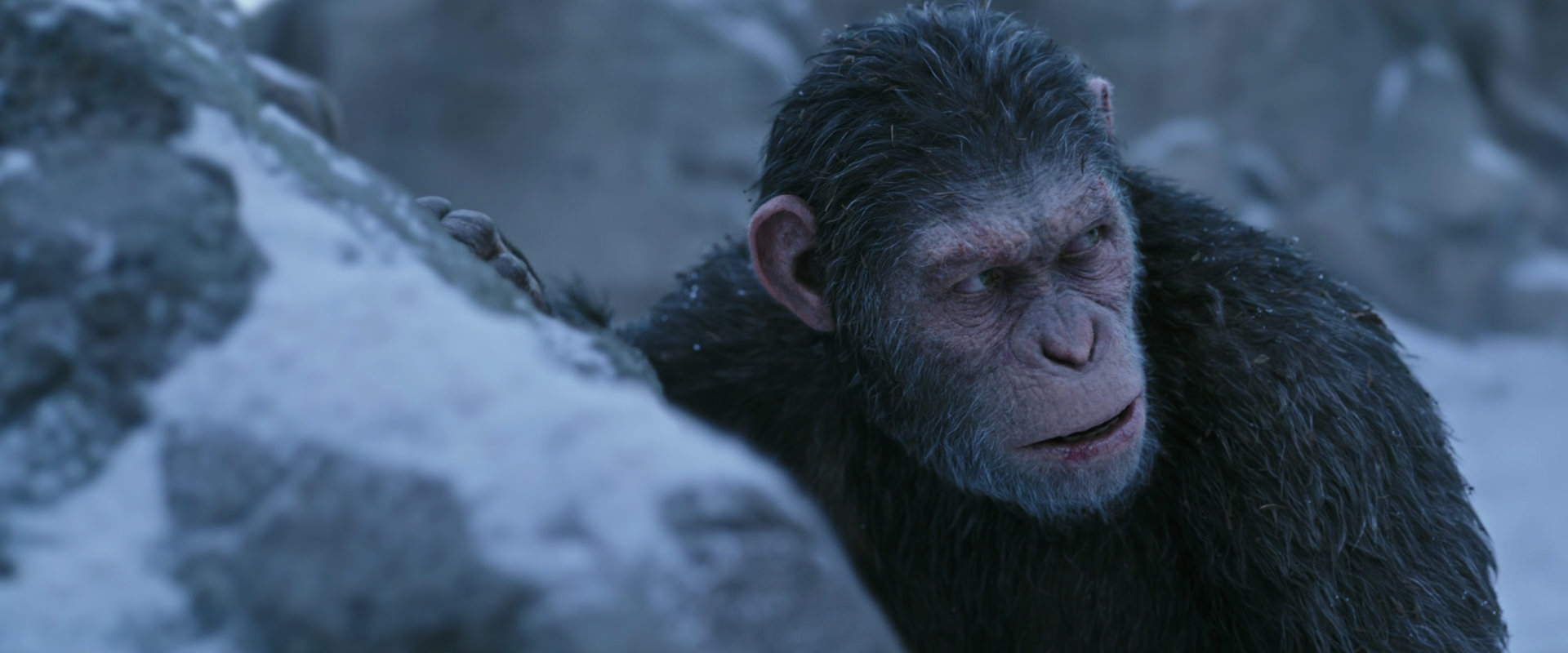 War for the Planet of the Apes (2017) movie still 14632