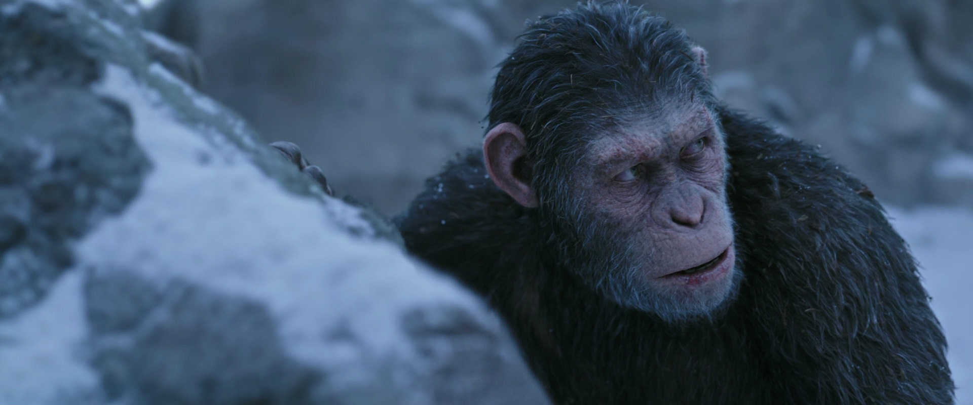War for the Planet of the Apes (2017) HD screenshot 14633