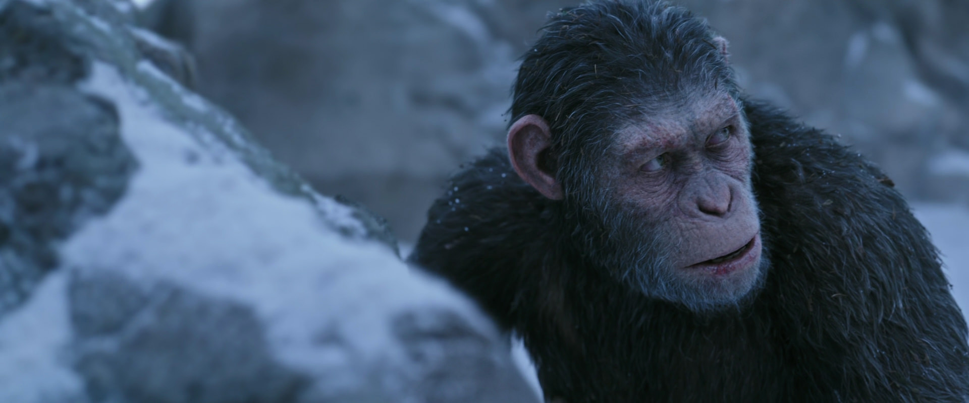 War for the Planet of the Apes (2017) screencap 14634