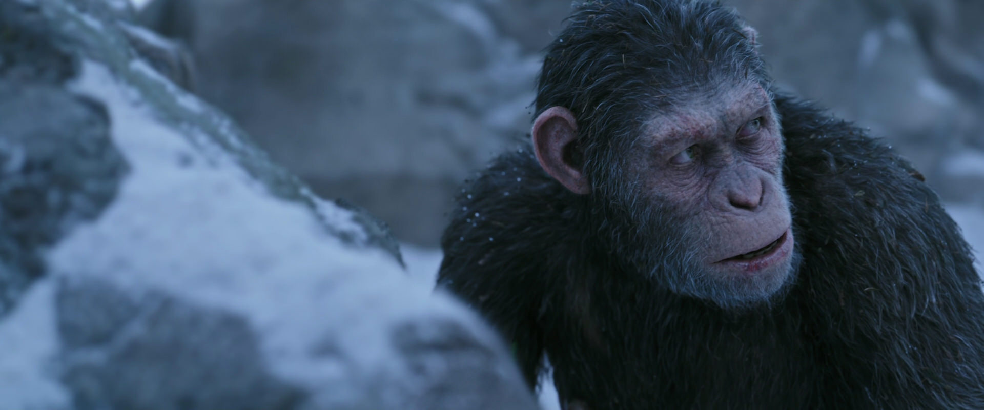 War for the Planet of the Apes (2017) movie still 14635