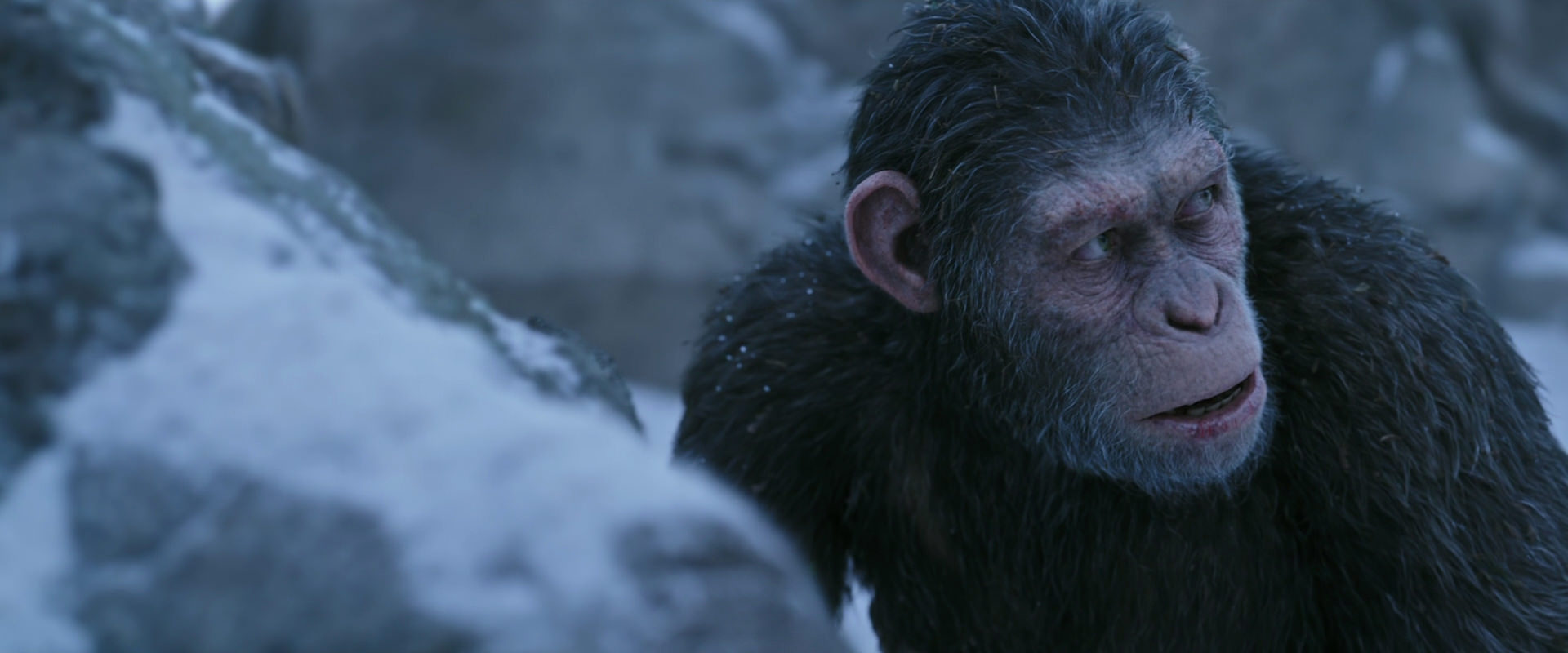 War for the Planet of the Apes (2017) HD screenshot 14636