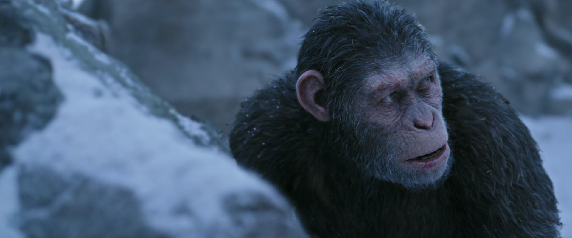 War for the Planet of the Apes (2017) screencap 14637