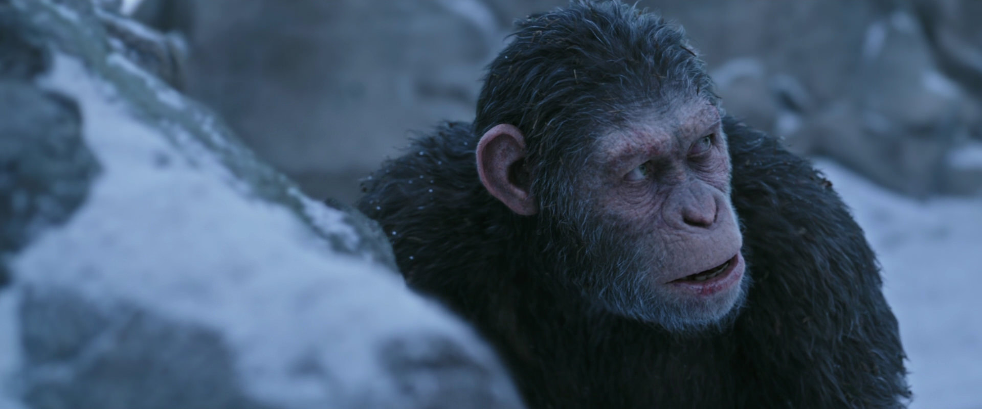 War for the Planet of the Apes (2017) movie still 14638