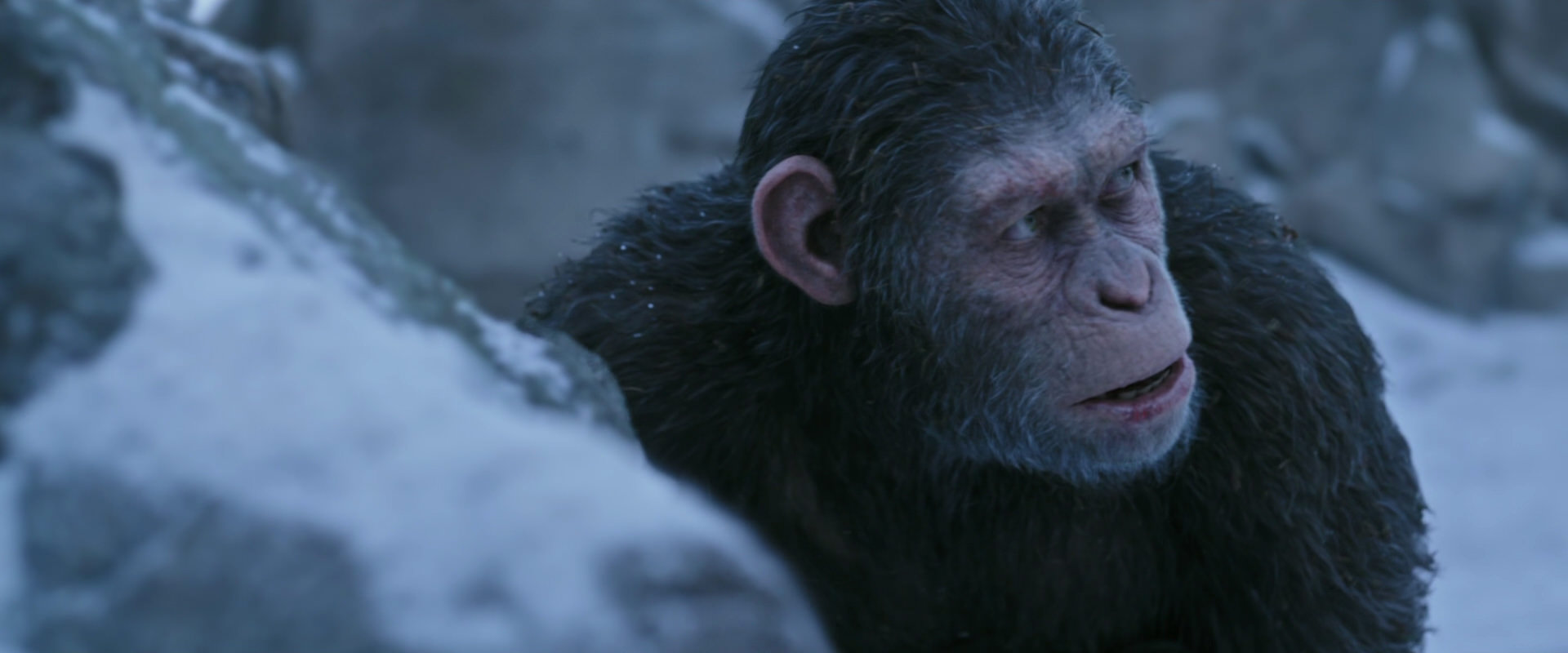 War for the Planet of the Apes (2017) HD screenshot 14639