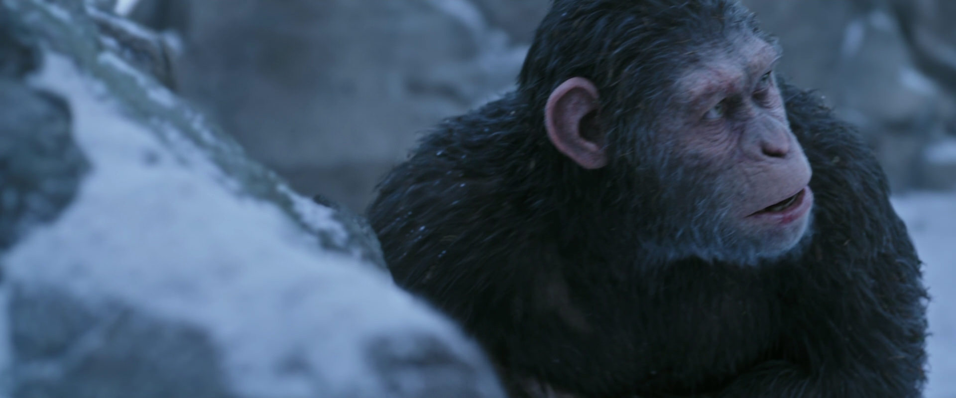 War for the Planet of the Apes (2017) screencap 14640