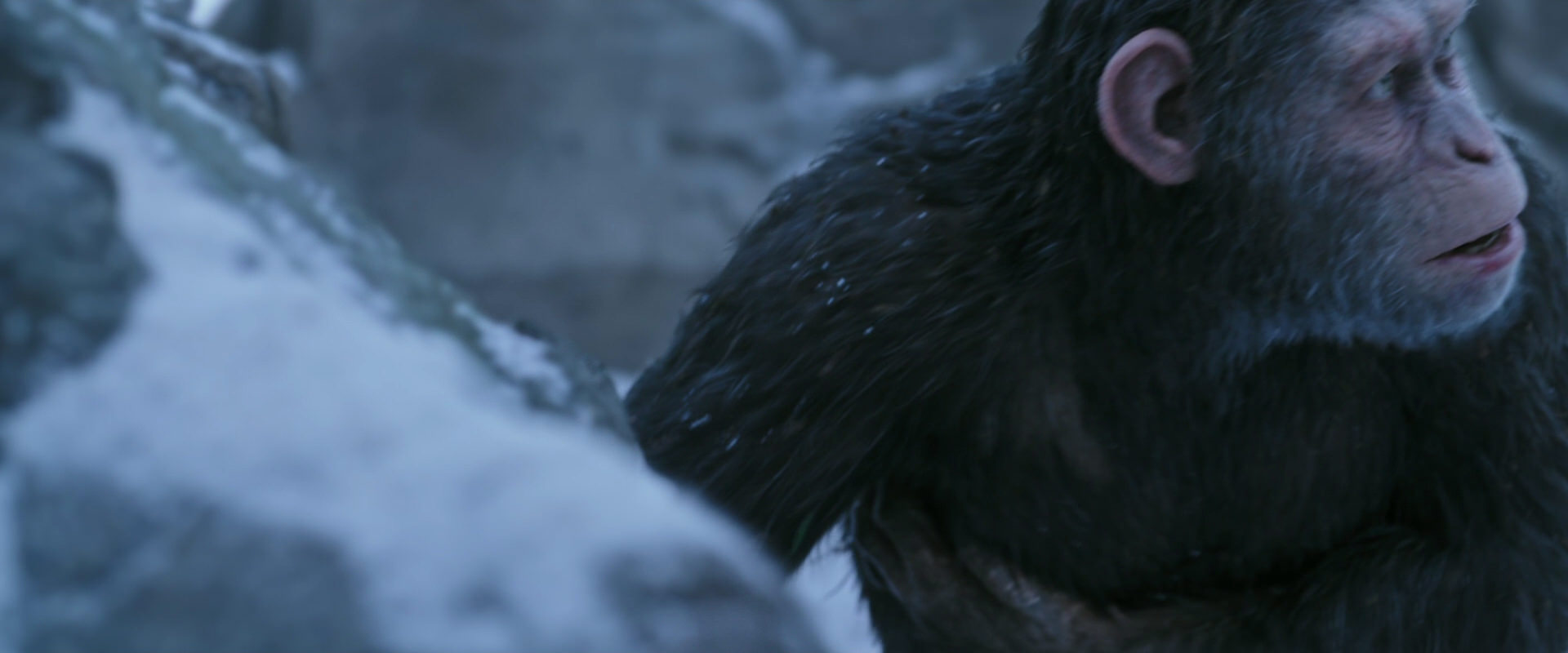 War for the Planet of the Apes (2017) movie still 14641