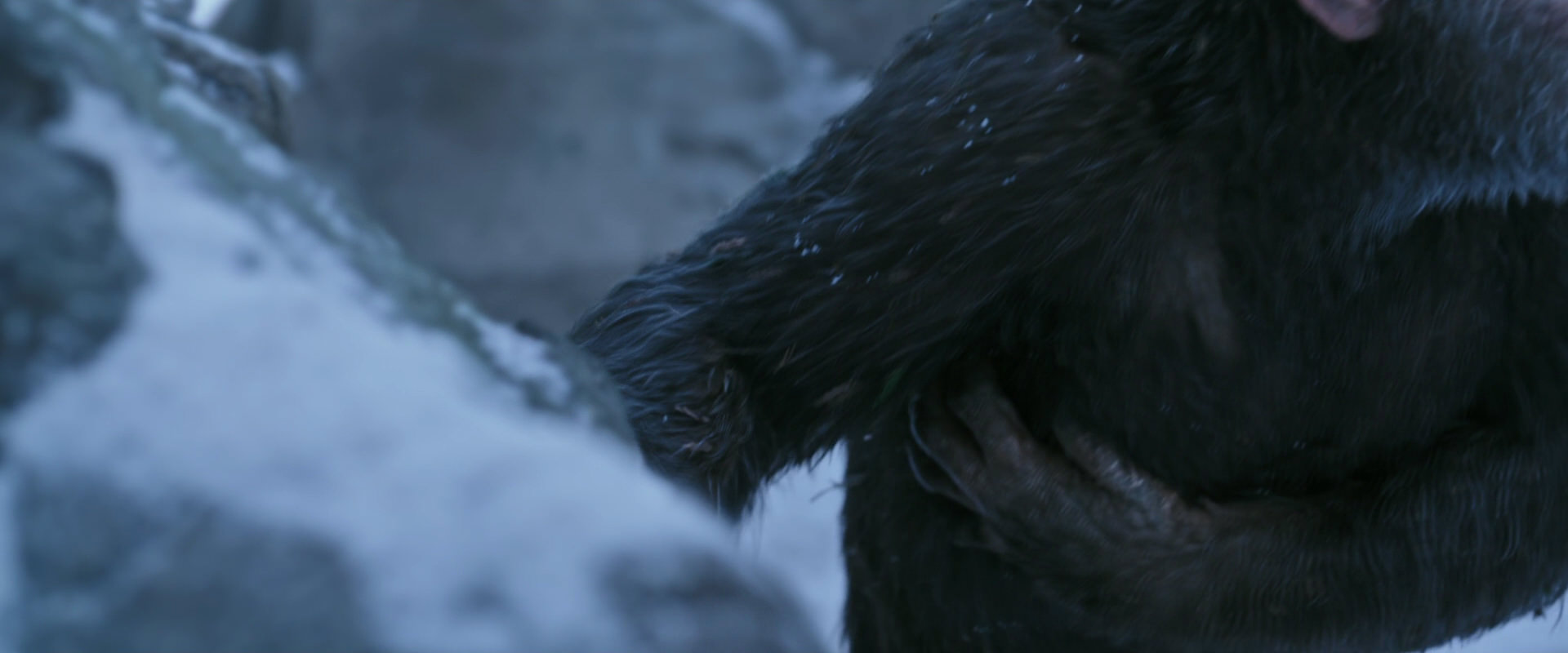 War for the Planet of the Apes (2017) HD screenshot 14642