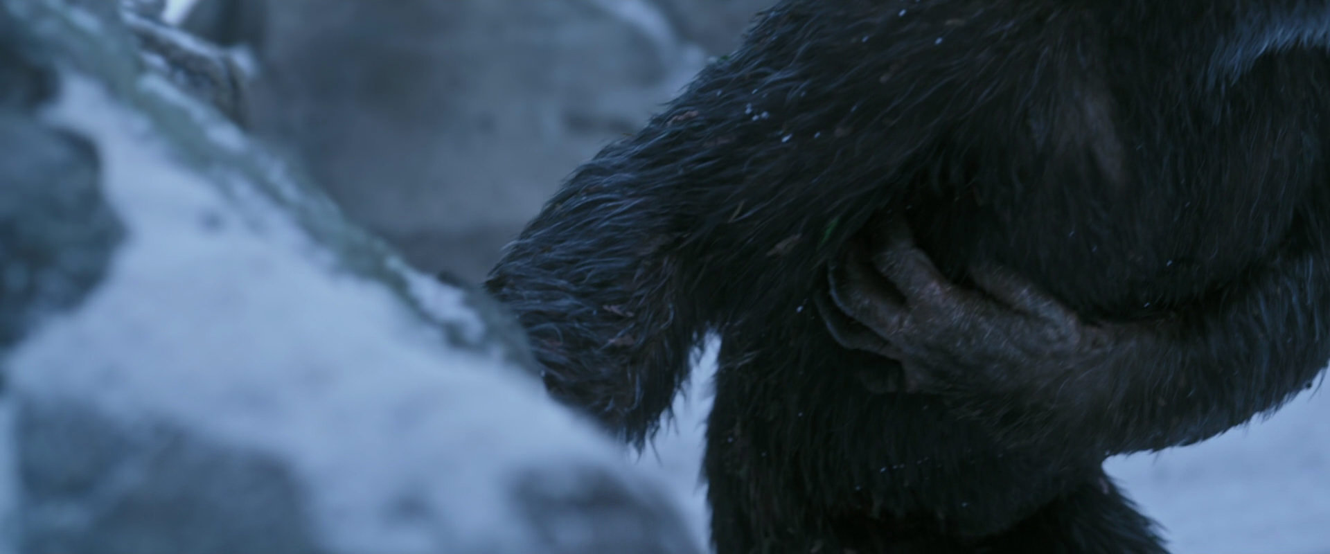 War for the Planet of the Apes (2017) screencap 14643