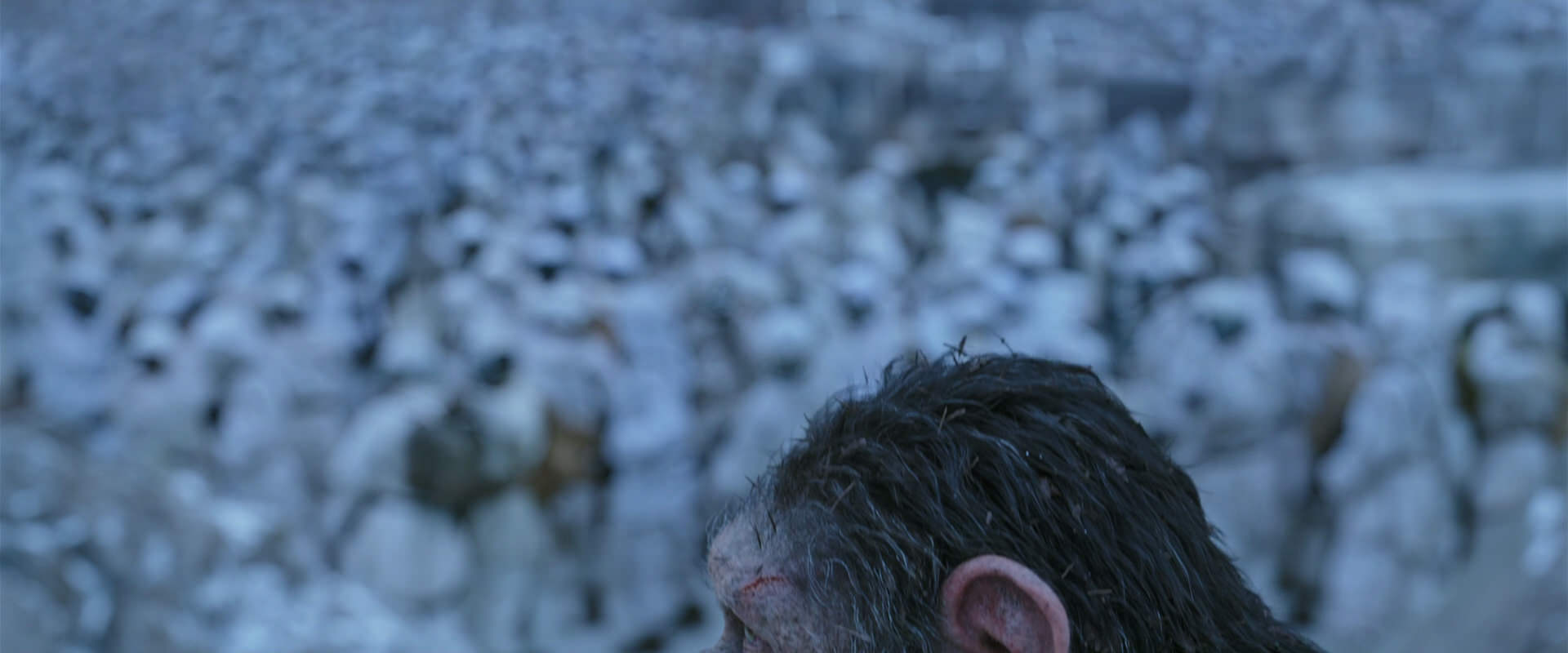 War for the Planet of the Apes (2017) screencap 14646