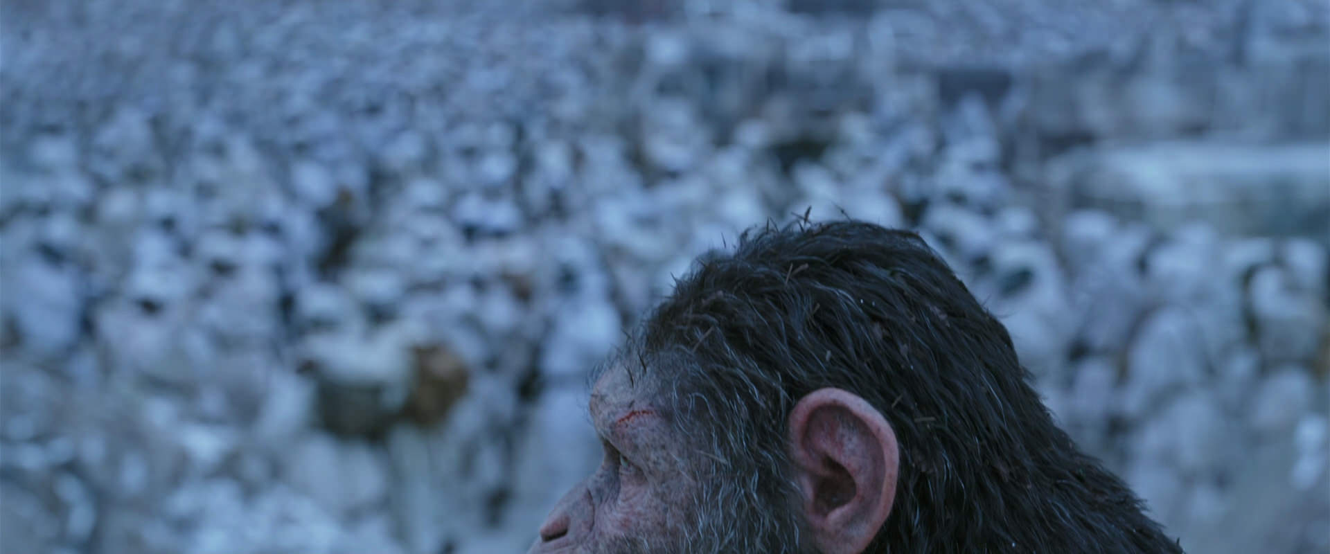 War for the Planet of the Apes (2017) movie still 14647