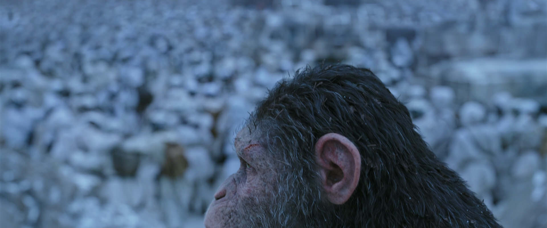 War for the Planet of the Apes (2017) HD screenshot 14648
