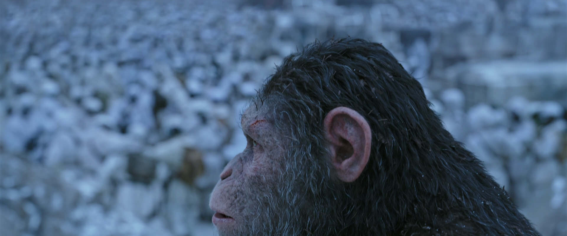 War for the Planet of the Apes (2017) screencap 14649