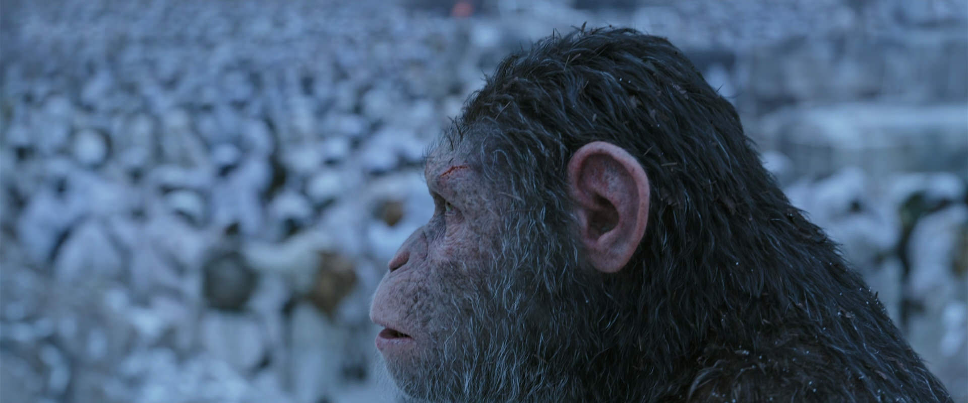 War for the Planet of the Apes (2017) movie still 14650