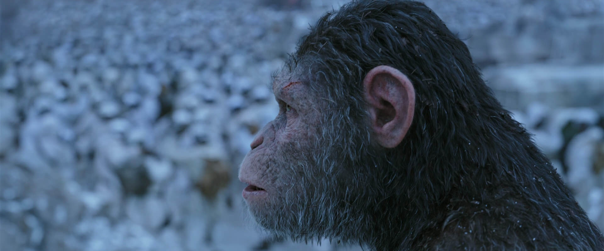 War for the Planet of the Apes (2017) HD screenshot 14651