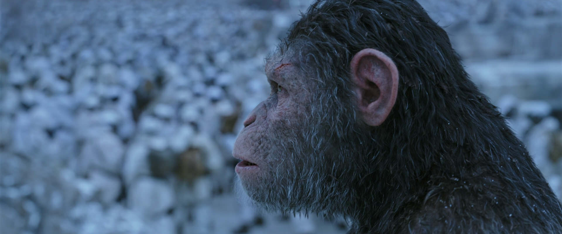 War for the Planet of the Apes (2017) screencap 14652