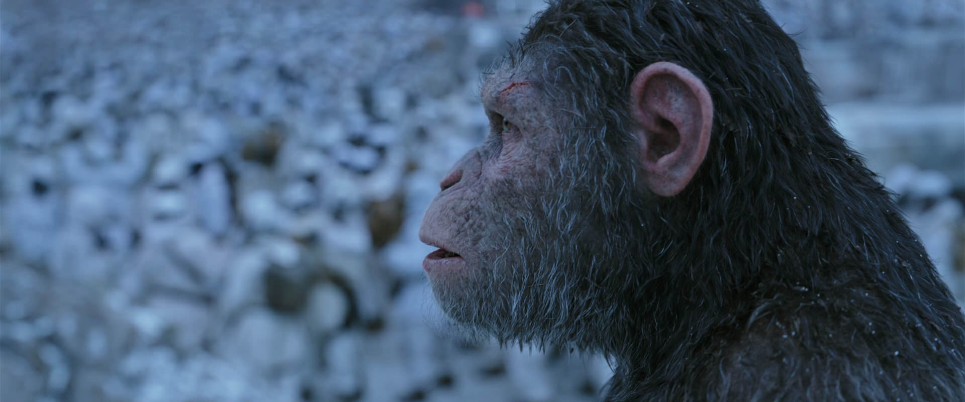 War for the Planet of the Apes (2017) movie still 14653