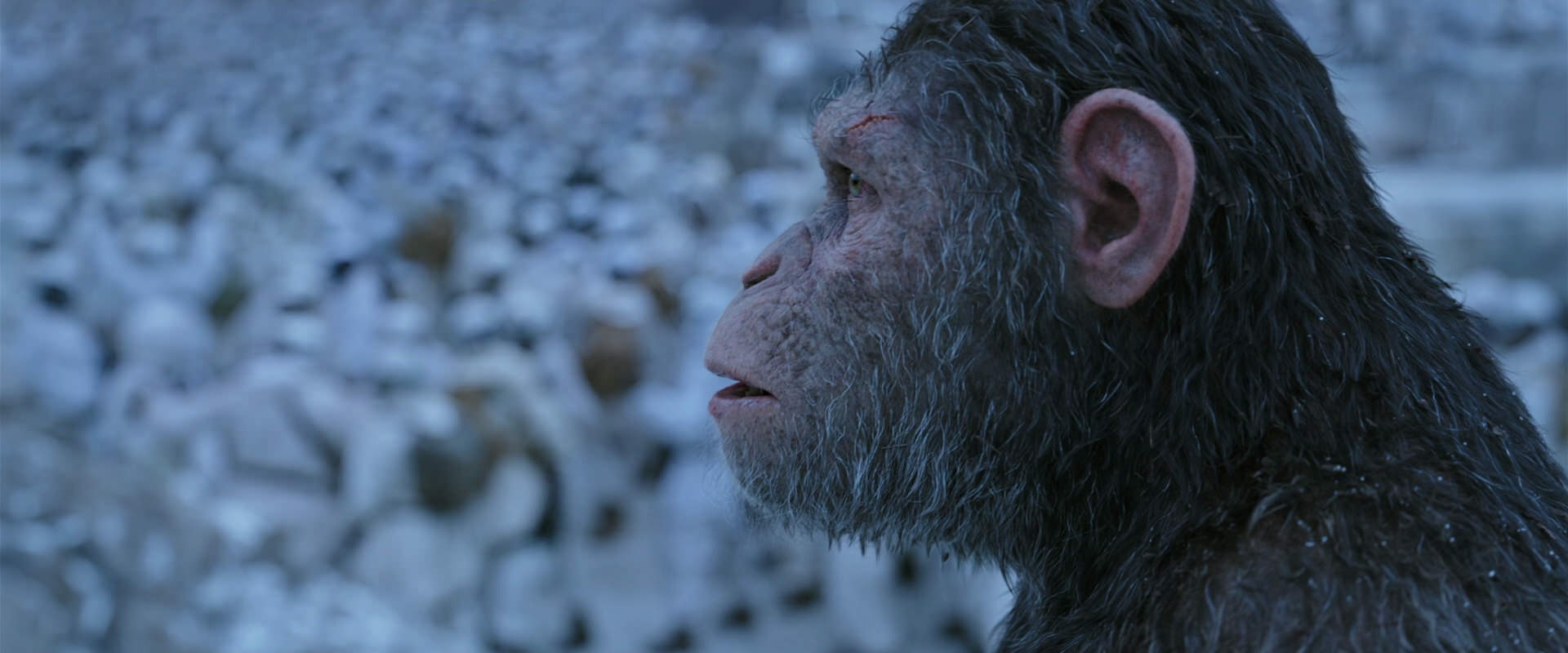 War for the Planet of the Apes (2017) HD screenshot 14654